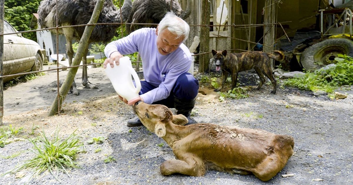 Kebaikan Kecil yang Mengubah Dunia